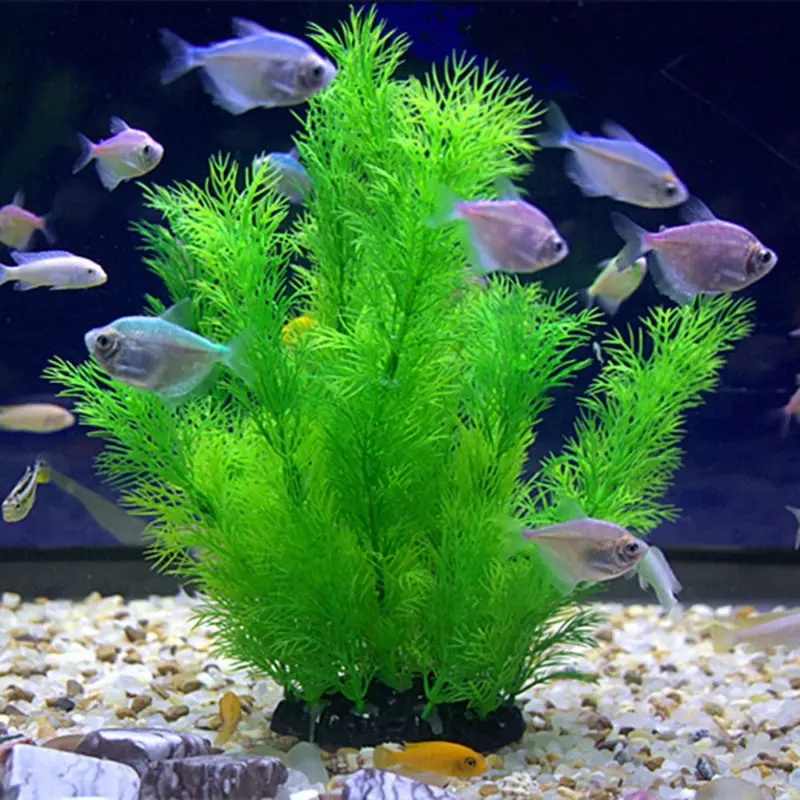 Aquarium Fish Enrichment - Yapay Akvaryum Dekor Bitkiler Sualtı Su