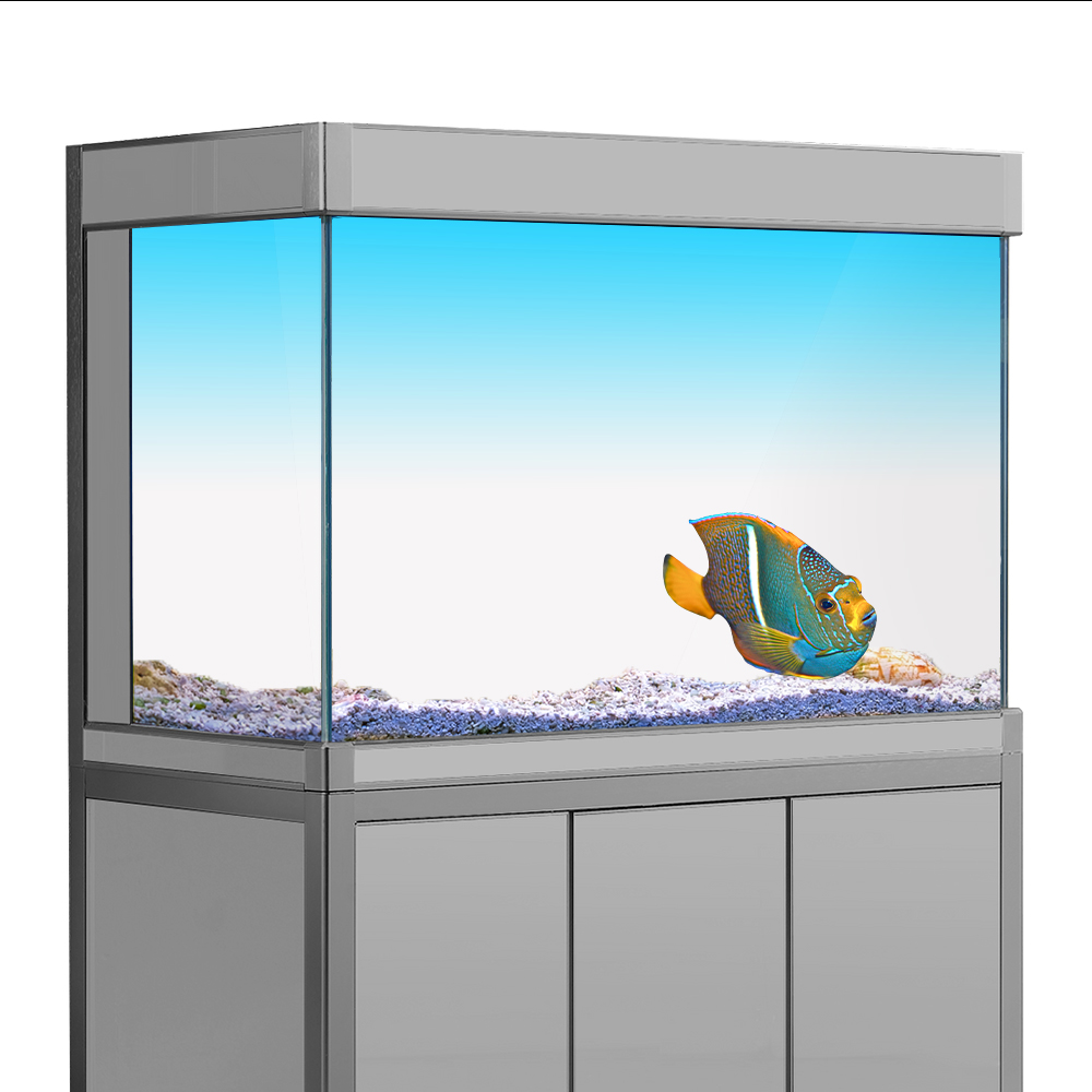 Aquarium Fish Yellow - Balık Tankı Arka Plan Etiket Beyaz