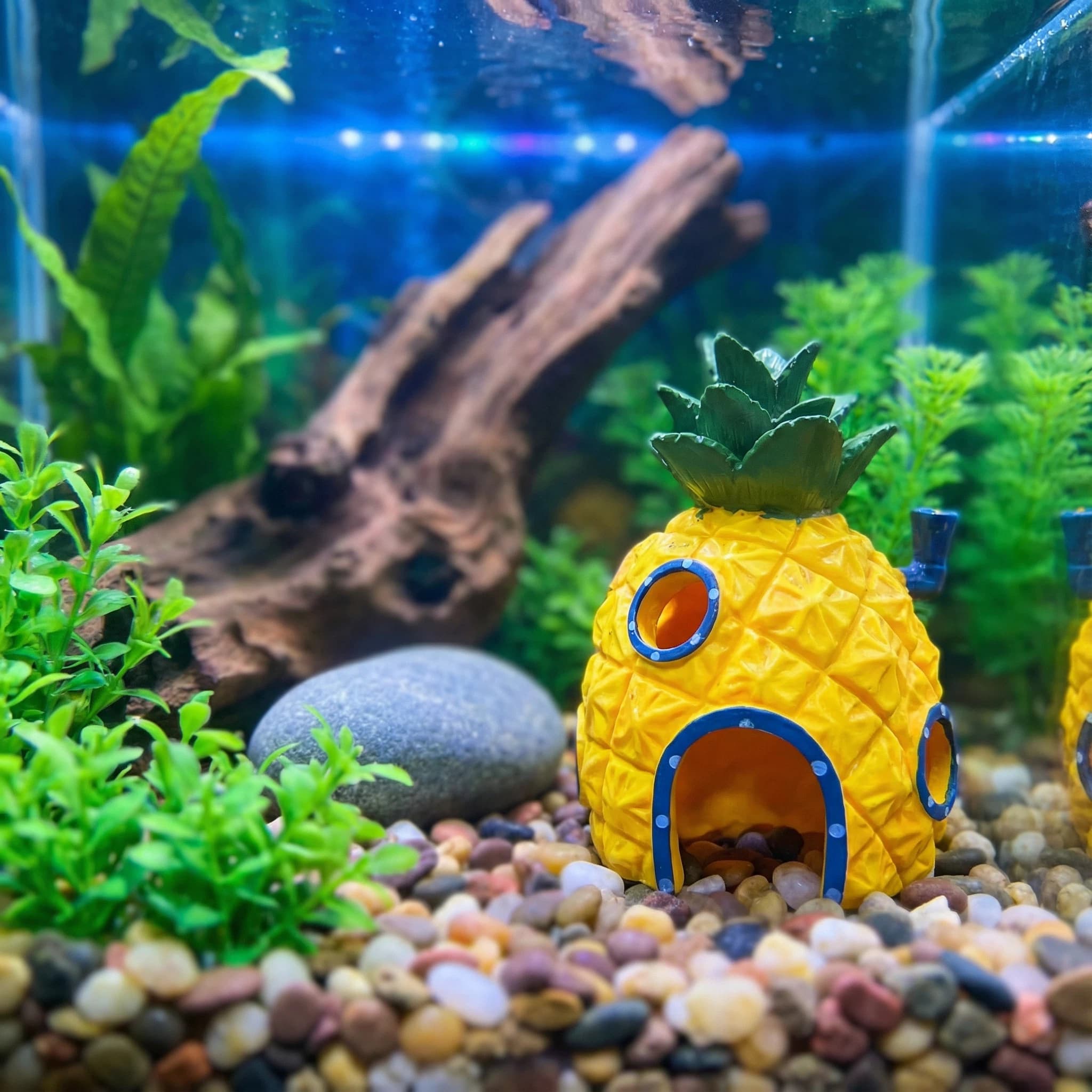 Aquarium Fish Hide - Ananas Evi Akvaryum Dekoru, Betta Karidesleri
