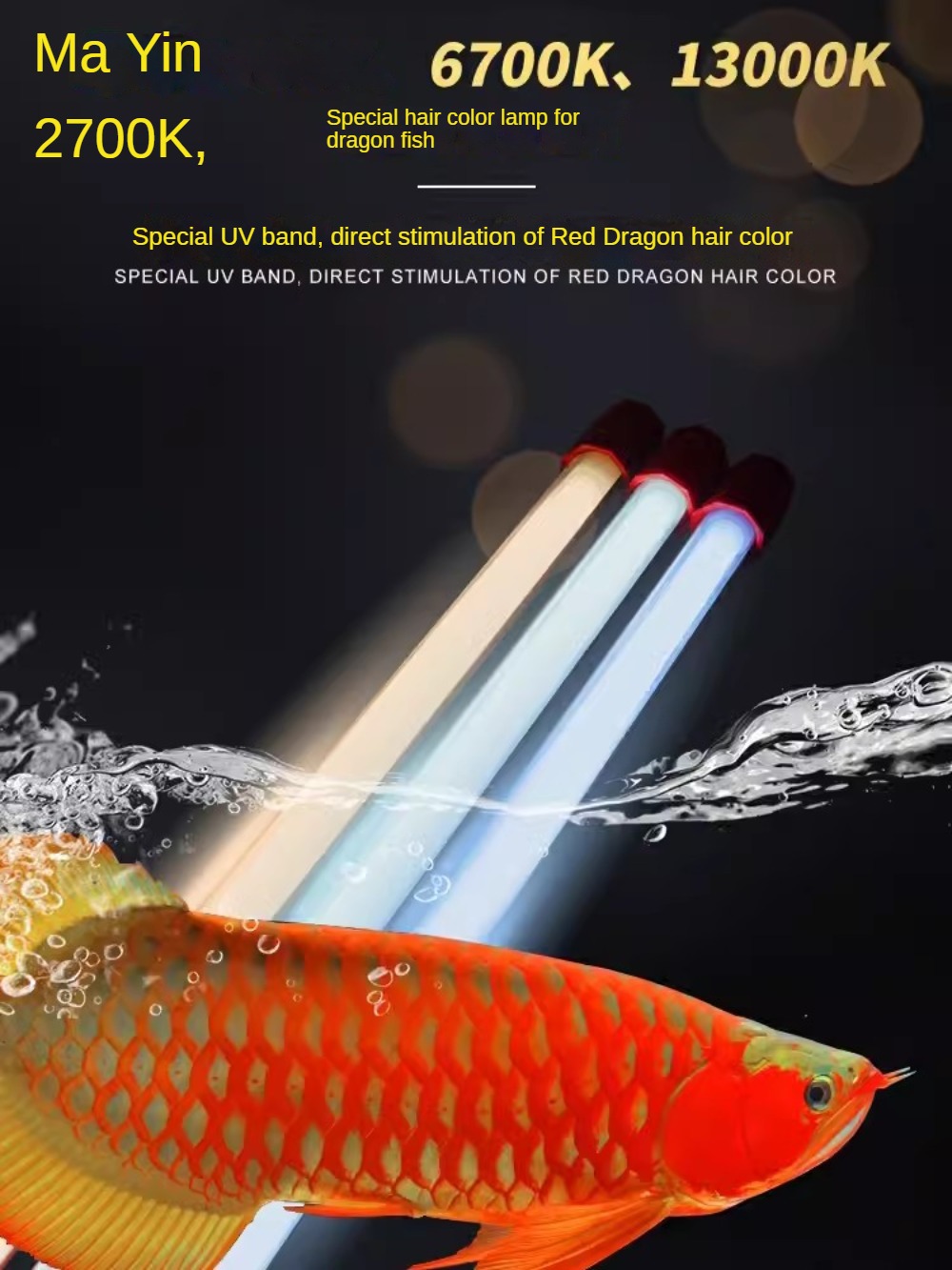 Aquarium Fish Yellow - Cam Arowana Akvaryum Işığı, Arowana, Bitkiler,