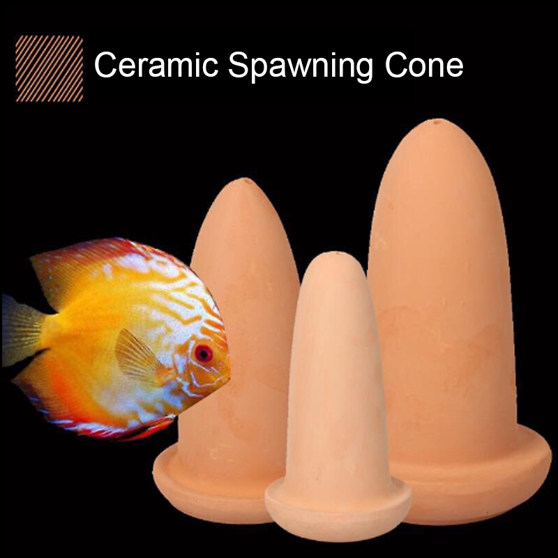 Aquarium Fish Hide - Diskus Balıkları ve Melek Balıkları için