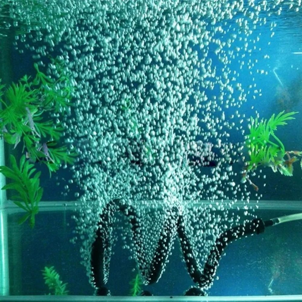 Balık Tankı Hava Çubuğu Kauçuk - Aquarium Fish Youtube incelemesi ve fiyatı