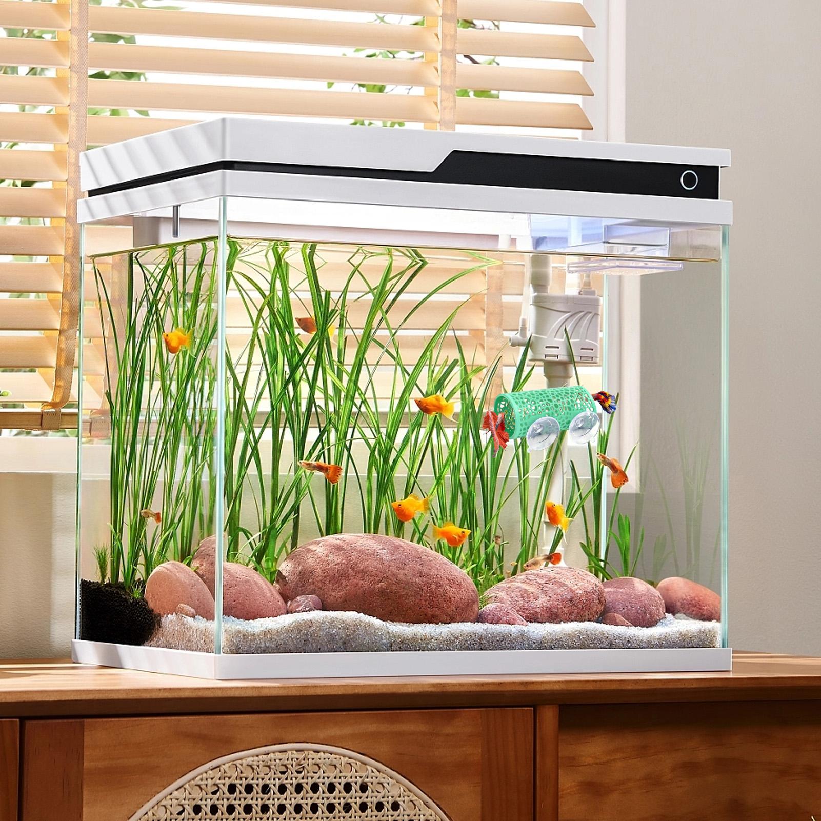 Betta Habitat Dinlenme Barınağ - Aquarium Fish Youtube incelemesi ve fiyatı