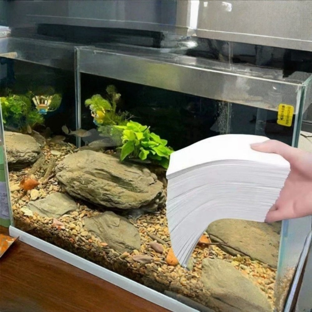 50 adet Çok Fonksiyonlu Filtre - Aquarium Fish Yellow incelemesi ve fiyatı