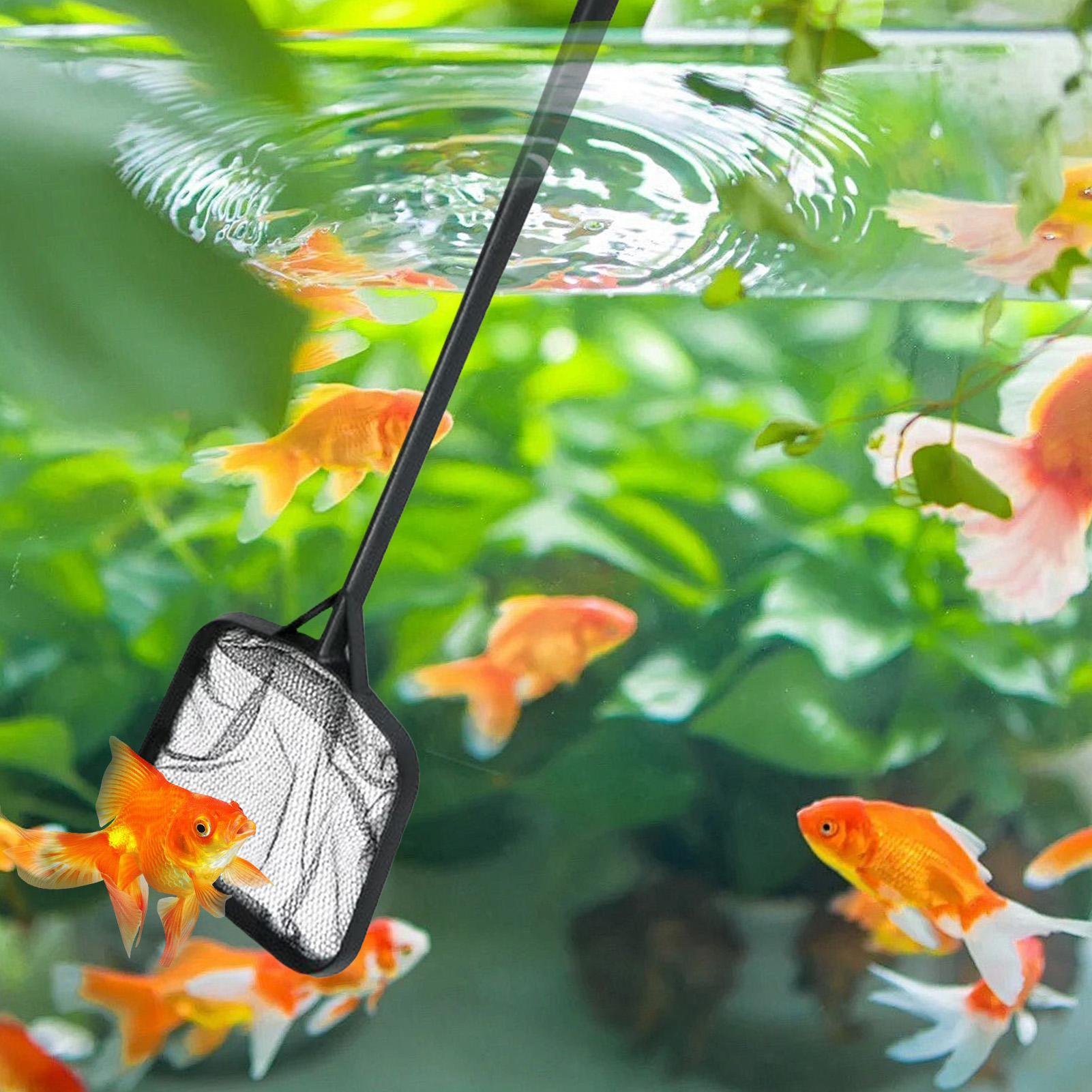 Havuz Temizleme Ağları Taşınab - Aquarium Fish Net incelemesi ve fiyatı