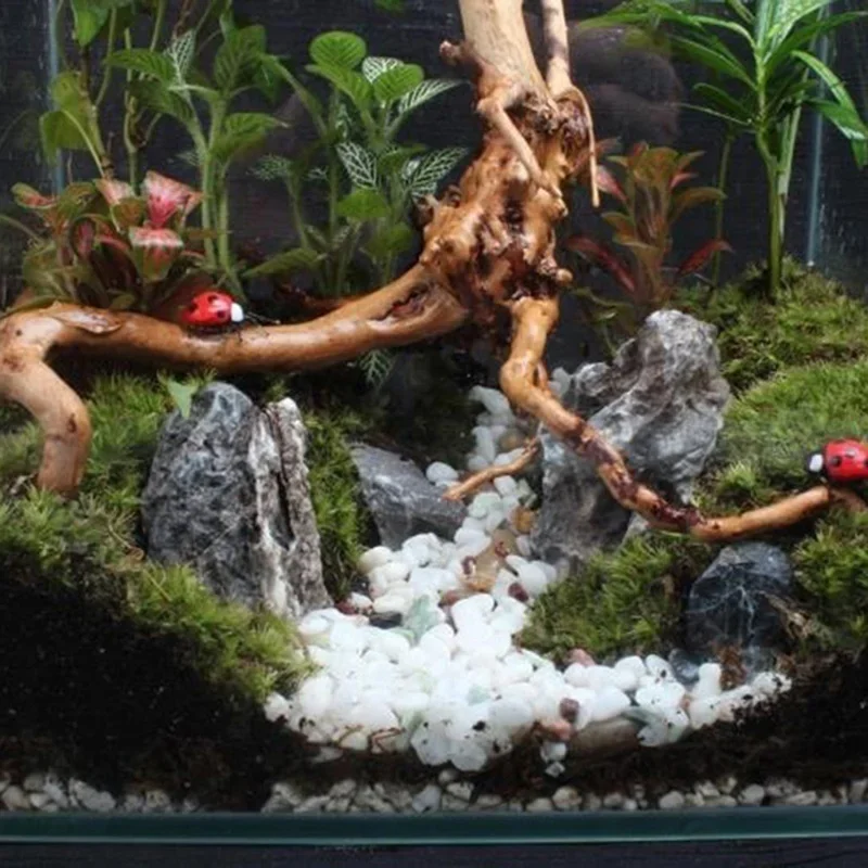 Doğal ağaç gövdesi Driftwood a - Aquarium Fish Enrichment incelemesi ve fiyatı
