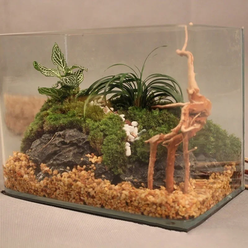Doğal ağaç gövdesi Driftwood a - Aquarium Fish Enrichment incelemesi ve fiyatı