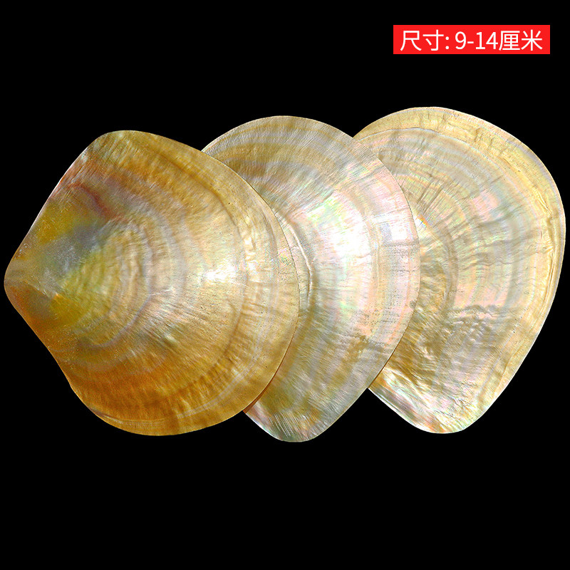 Doğal Sarı Kelebek Beibei Kabu - Aquarium Fish Yellow incelemesi ve fiyatı