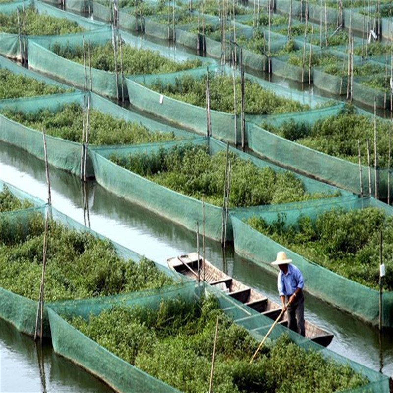Beyaz Kaçış Önleyici Ağ Kafesi - Aquarium Fish Net incelemesi ve fiyatı