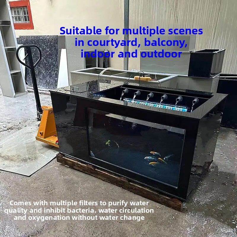 XL Siyah Yan Filtreli Balık Ta - Xl Aquarium Fish incelemesi ve fiyatı