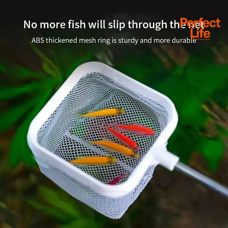 1, 2 adet paslanmaz çelik balı - Aquarium Fish Net incelemesi ve fiyatı