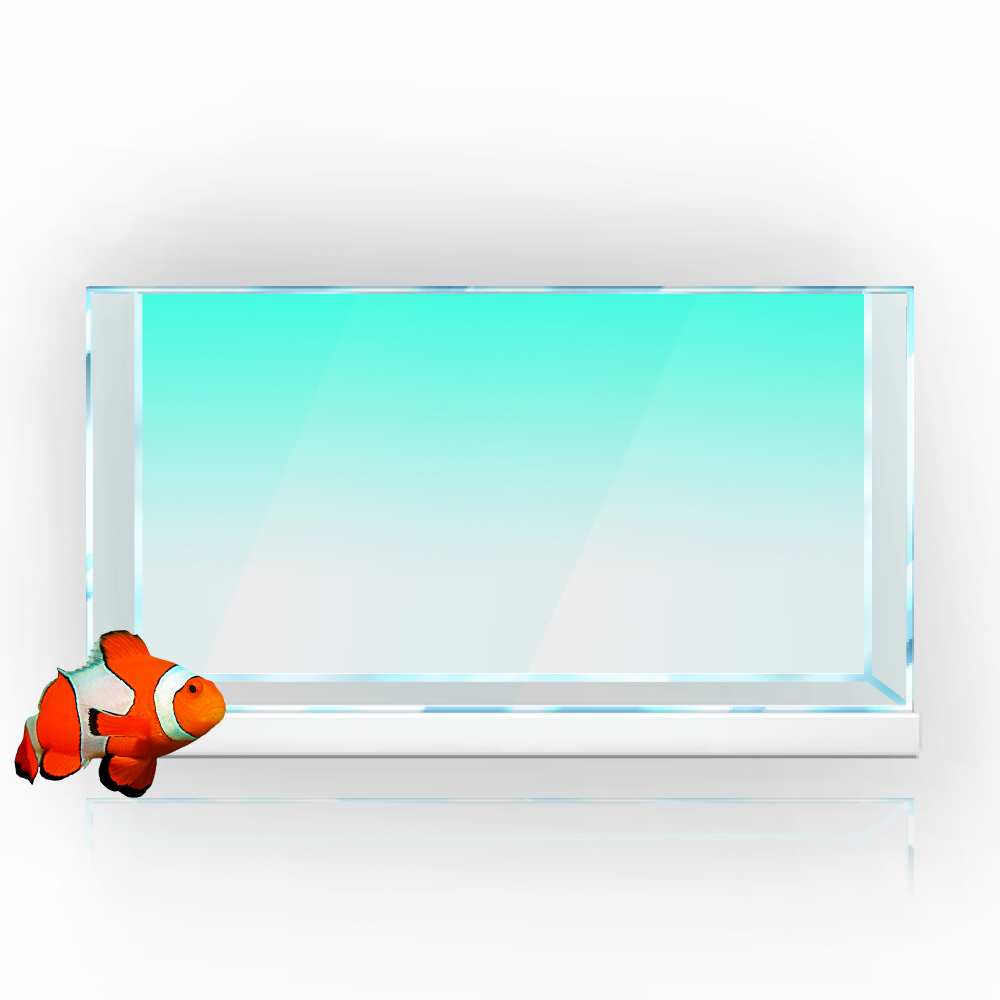 Balık Tankı Arka Plan Etiket B - Aquarium Fish Yellow incelemesi ve fiyatı