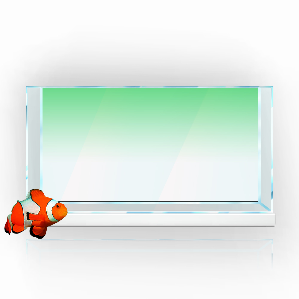 Balık Tankı Arka Plan Etiket B - Aquarium Fish Yellow incelemesi ve fiyatı