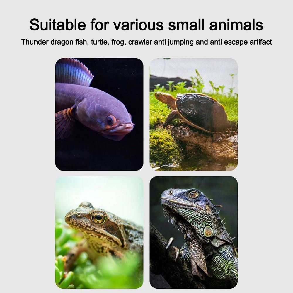 Dayanıklı Manyetik Balık Tankı - Aquarium Fish Net incelemesi ve fiyatı