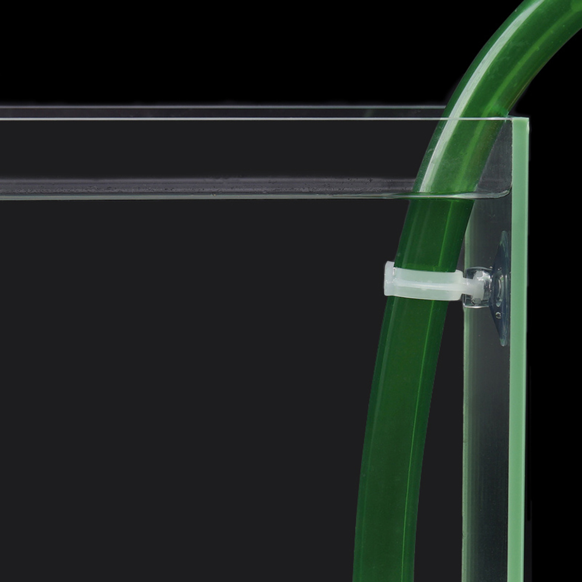 10 adet balık tankı güçlü şeff - Aquarium Fish Youtube incelemesi ve fiyatı