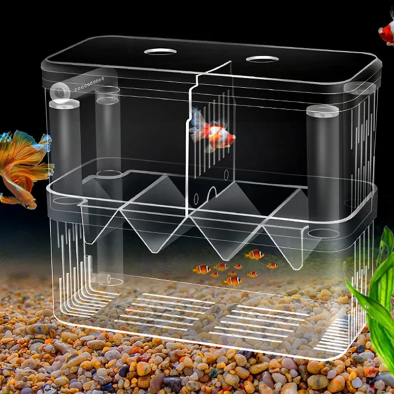Balık Yetiştiriciliği İzolasyo - Xl Aquarium Fish incelemesi ve fiyatı