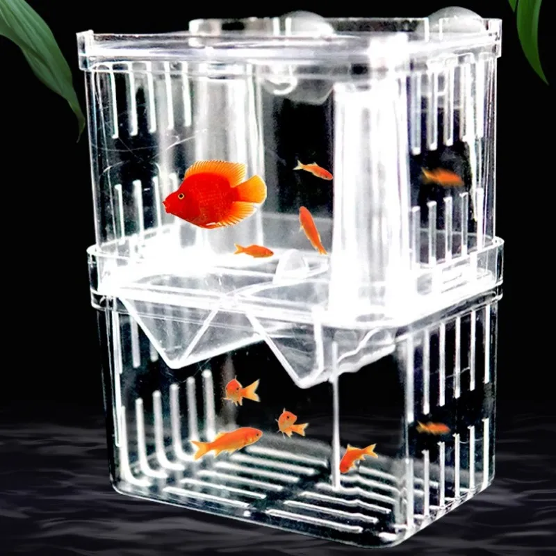 Balık Yetiştiriciliği İzolasyo - Xl Aquarium Fish incelemesi ve fiyatı