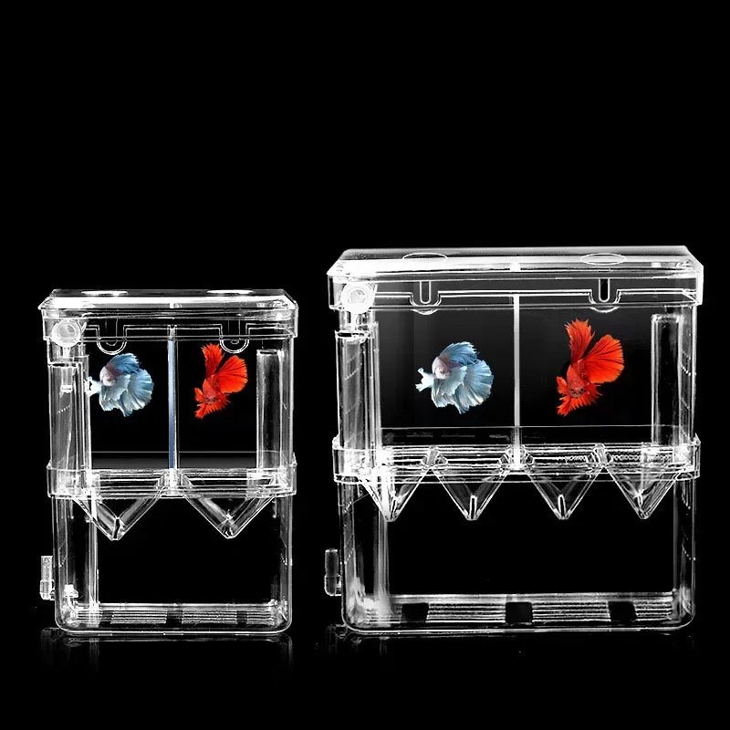 Balık Yetiştiriciliği İzolasyo - Xl Aquarium Fish incelemesi ve fiyatı
