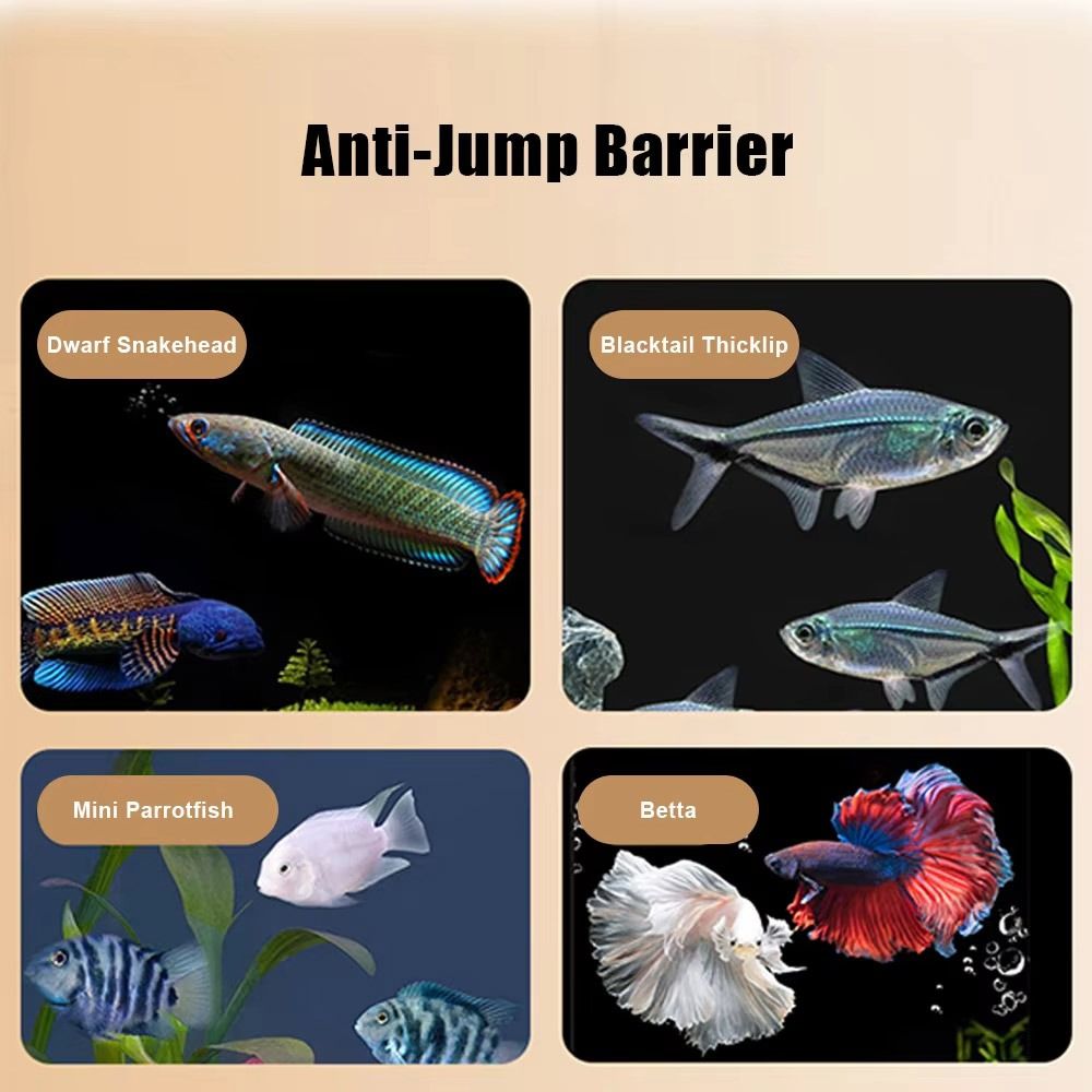 Dayanıklı Manyetik Balık Tankı - Aquarium Fish Net incelemesi ve fiyatı
