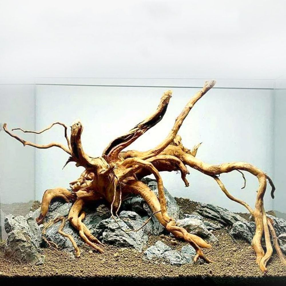 Doğal ağaç gövdesi akvaryum de - Aquarium Fish Enrichment incelemesi ve fiyatı