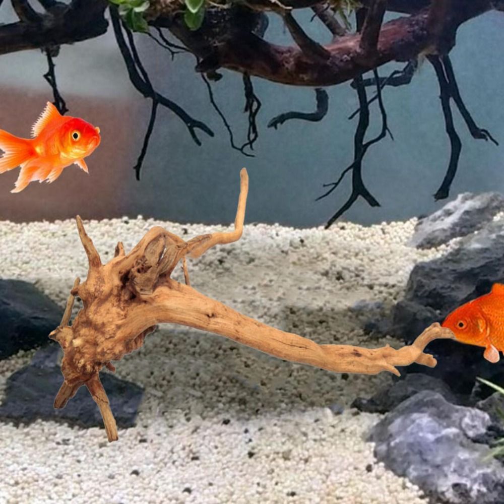 Doğal ağaç gövdesi akvaryum de - Aquarium Fish Enrichment incelemesi ve fiyatı