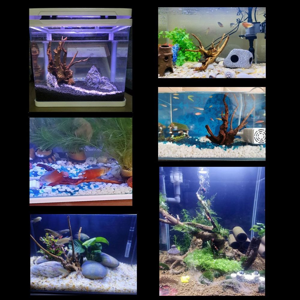 Doğal ağaç gövdesi akvaryum de - Aquarium Fish Enrichment incelemesi ve fiyatı