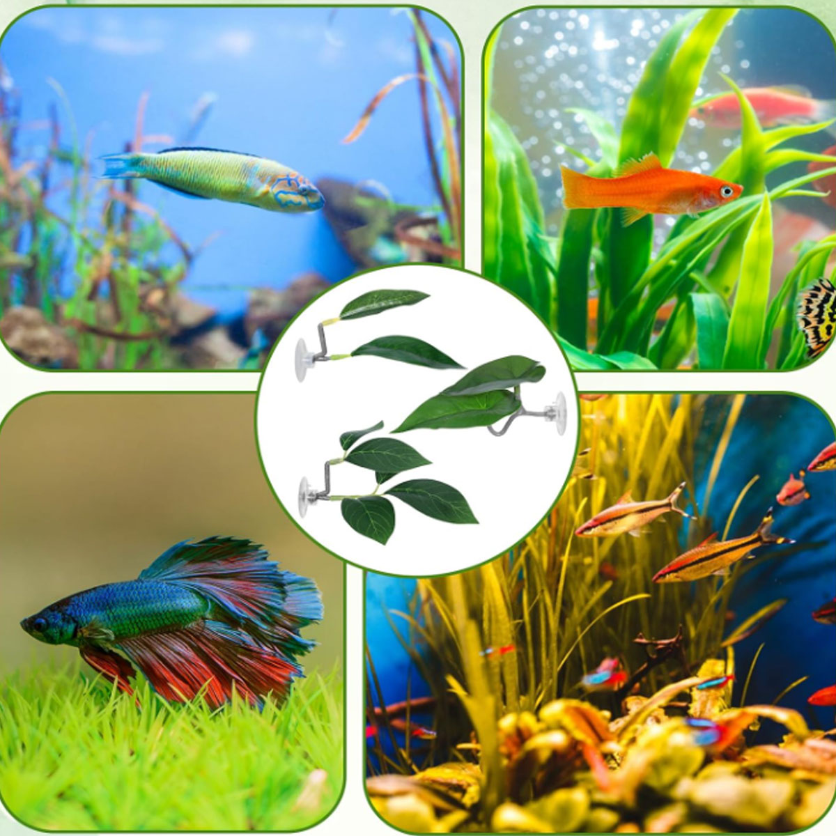 1 adet Betta balık hamak yumuş - Aquarium Fish Enrichment incelemesi ve fiyatı