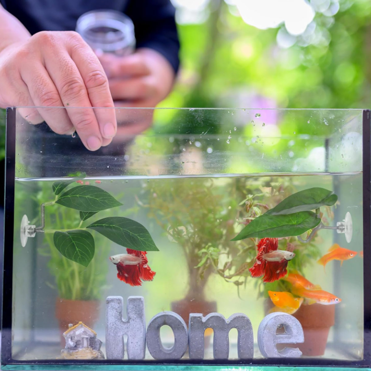 1 adet Betta balık hamak yumuş - Aquarium Fish Enrichment incelemesi ve fiyatı