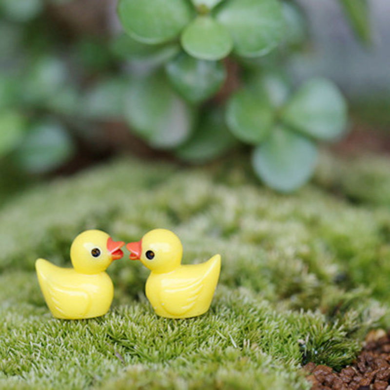 Sevimli Mini Sarı Ördek Akvary - Aquarium Fish Yellow incelemesi ve fiyatı