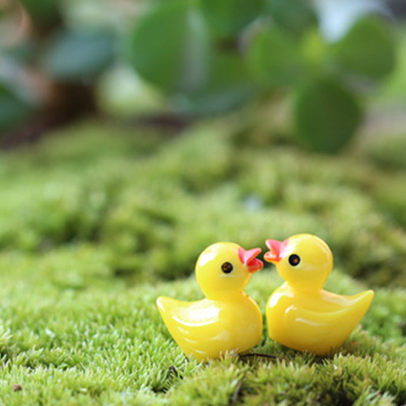 Sevimli Mini Sarı Ördek Akvary - Aquarium Fish Yellow incelemesi ve fiyatı
