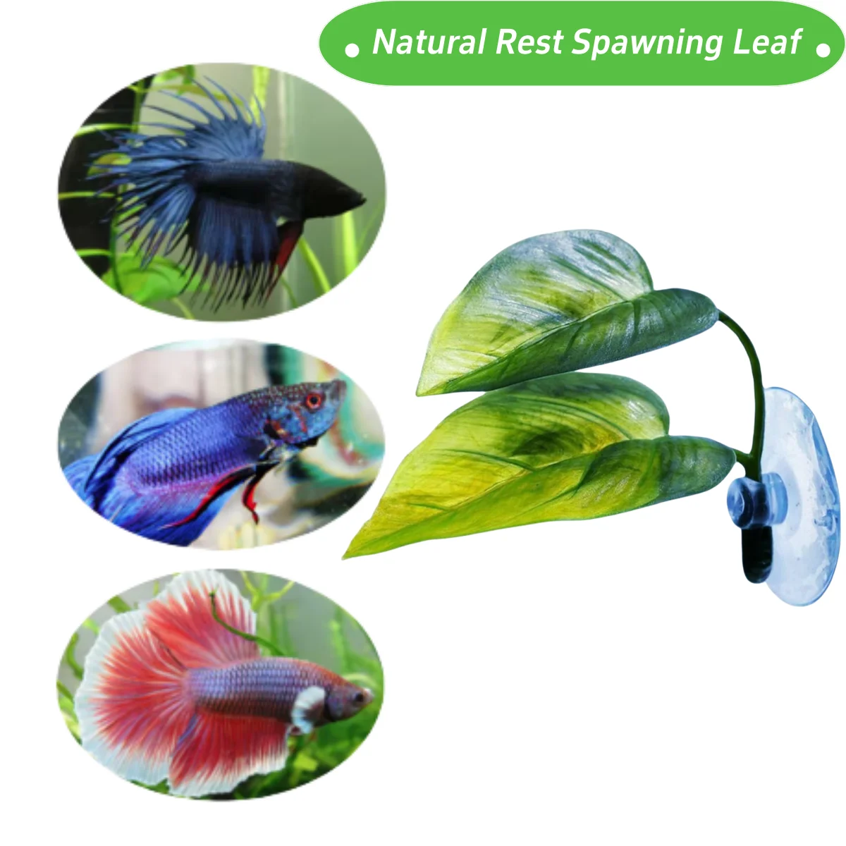 Evcil Hayvanlar İçin Akvaryum  - Aquarium Fish Enrichment incelemesi ve fiyatı