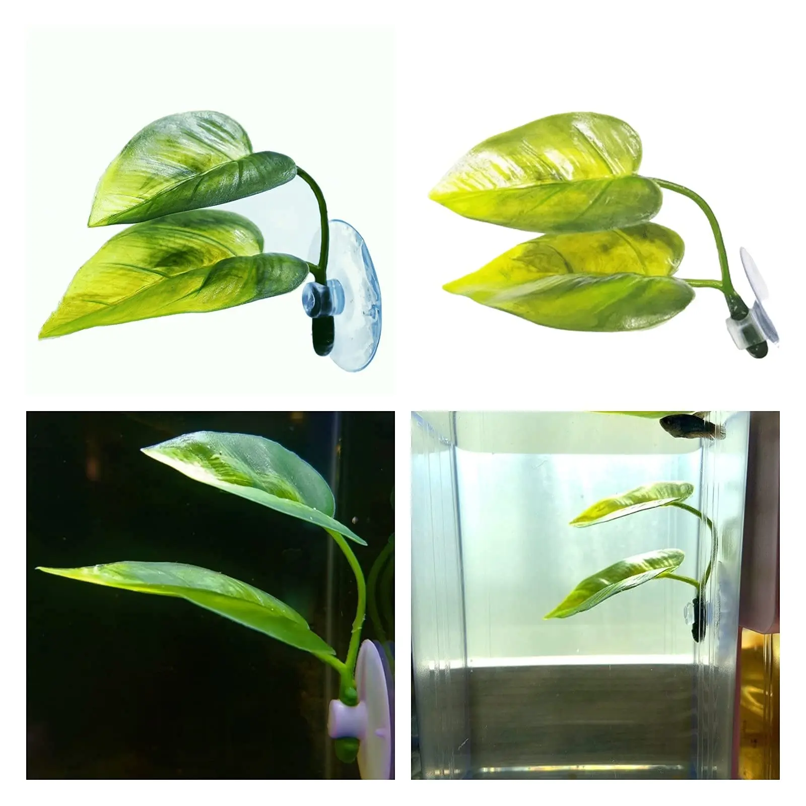 Evcil Hayvanlar İçin Akvaryum  - Aquarium Fish Enrichment incelemesi ve fiyatı