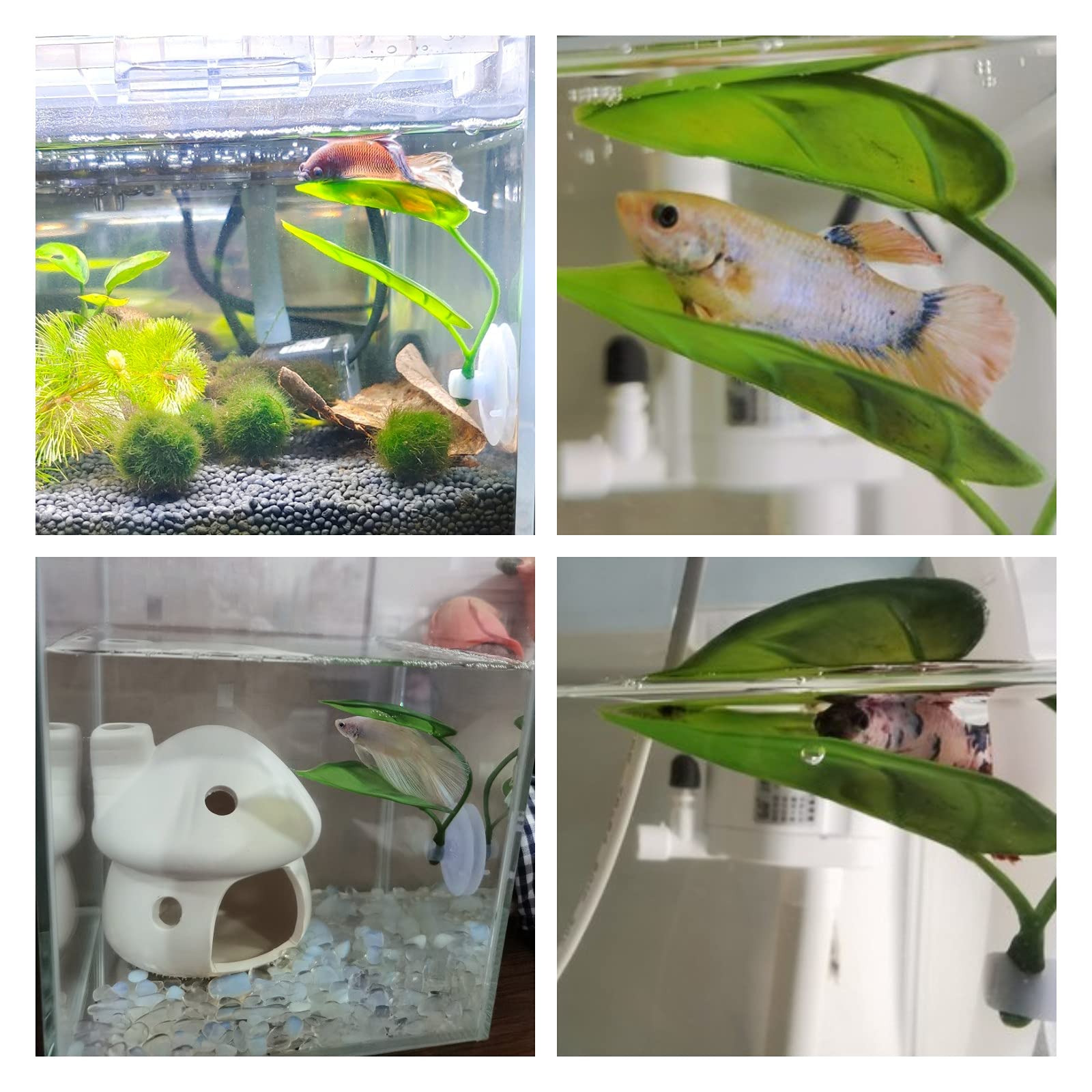 Evcil Hayvanlar İçin Akvaryum  - Aquarium Fish Enrichment incelemesi ve fiyatı
