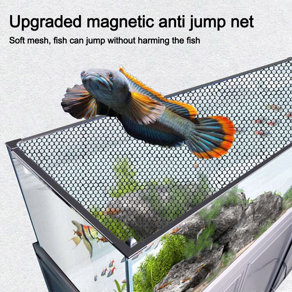 Sağlam Manyetik Balık Tankı Ka - Aquarium Fish Net incelemesi ve fiyatı