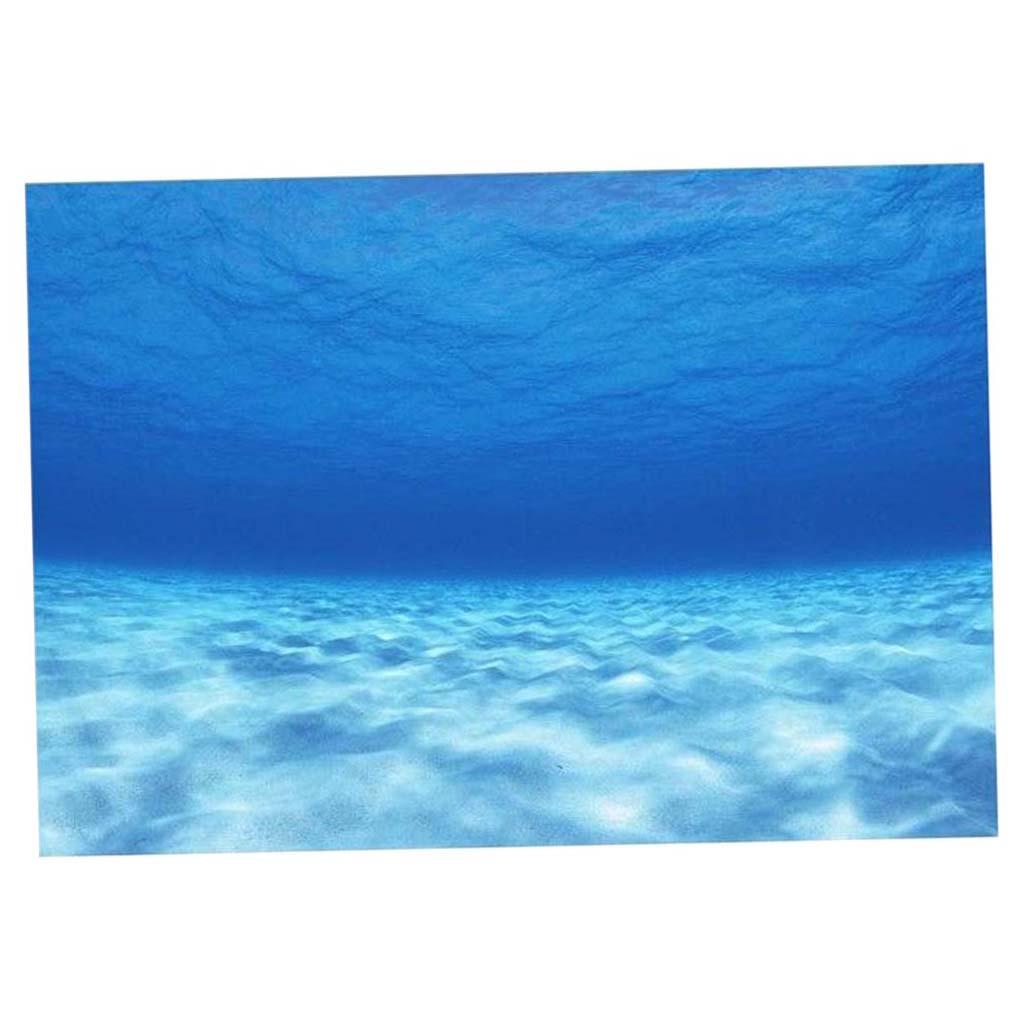 Yan Dekoratif Akvaryum Arka Pl - Aquarium Fish Of The World incelemesi ve fiyatı