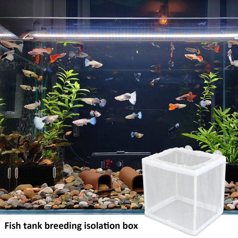Emme ile Balık Damızlık Kutusu - Aquarium Fish Net incelemesi ve fiyatı