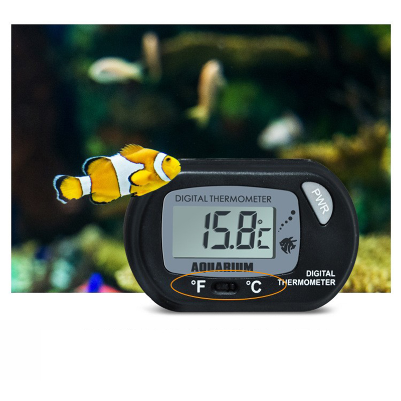 1 adet 58*37mm balık tankı dij - Aquarium Fish Yellow incelemesi ve fiyatı