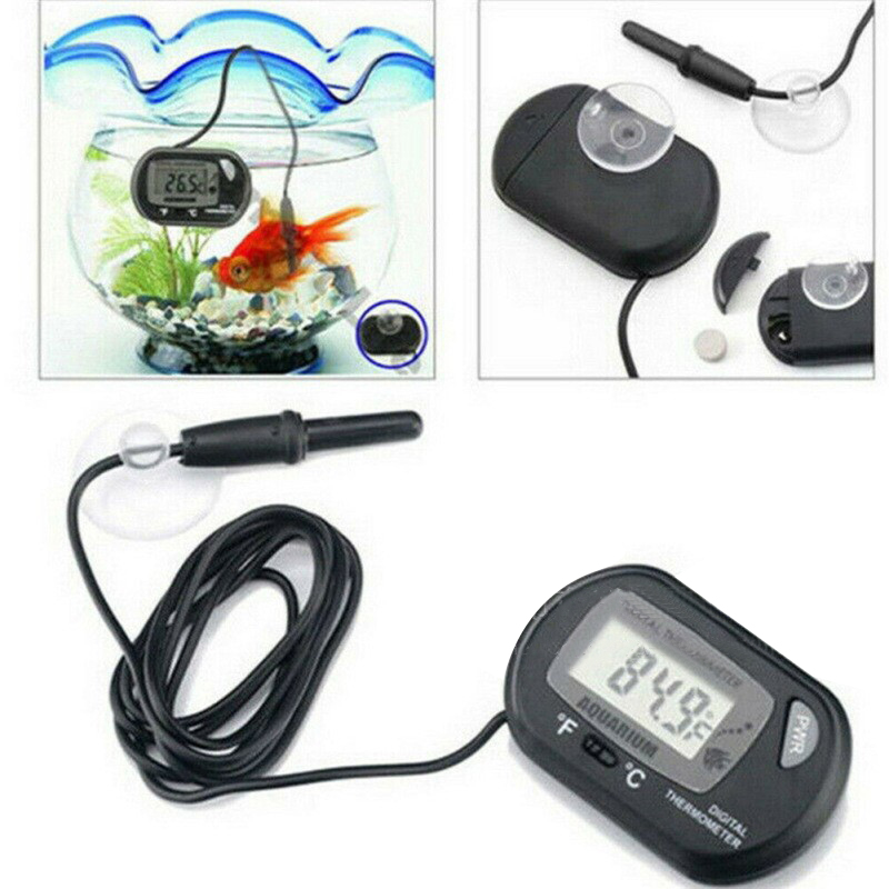 1 adet 58*37mm balık tankı dij - Aquarium Fish Yellow incelemesi ve fiyatı