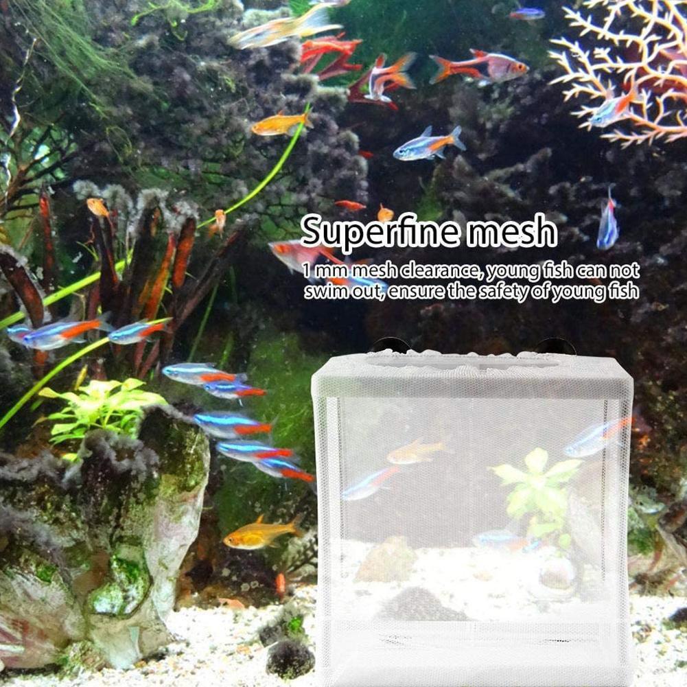 Akvaryum için Kuluçka İzolasyo - Aquarium Fish Net incelemesi ve fiyatı