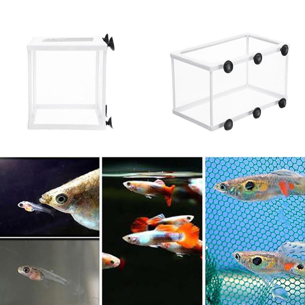 Akvaryum için Kuluçka İzolasyo - Aquarium Fish Net incelemesi ve fiyatı