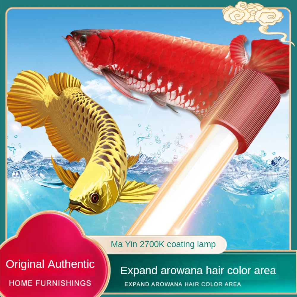 Cam Arowana Akvaryum Işığı, Ar - Aquarium Fish Yellow incelemesi ve fiyatı