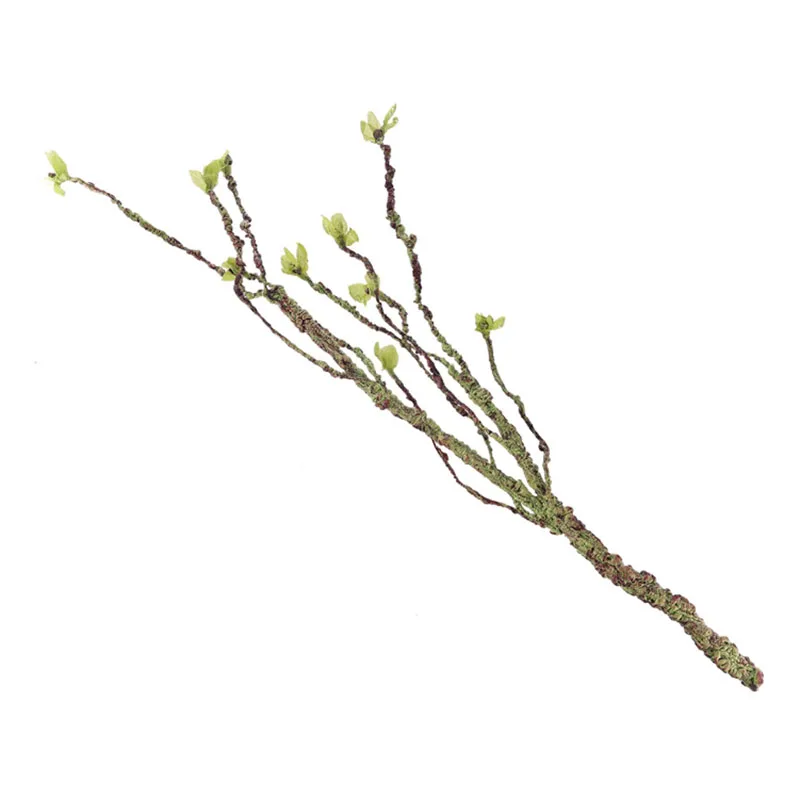 Vines dekor tırmanma dalları r - Aquarium Fish Enrichment incelemesi ve fiyatı